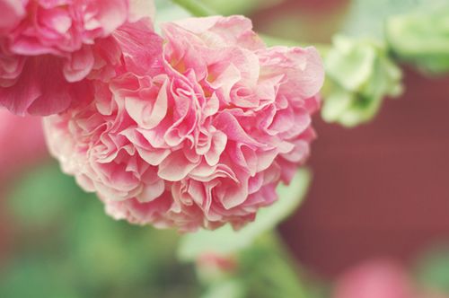 ����������¾��ã��������� (8)