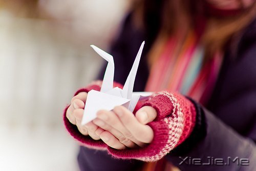 ��̬���ã��������� (6)