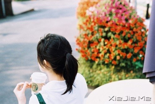 ����������������� (4)