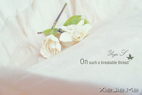 ��һ�����ɣ�ȥ�������� (7)