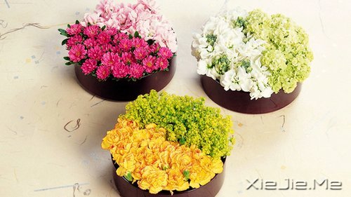 ����ʢ����������� (5)