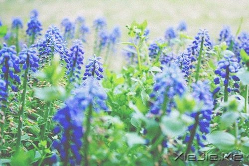 ������������ô��⣬���Լ�������һ��Ҫ���� (8)