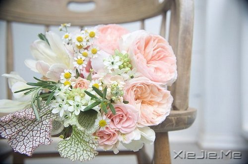 �����ж�пᣬ��͸��ж��ǿ (5)