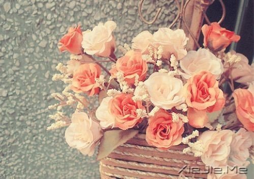 ��һ�������Լ��ĵط����������ж����������� (3)