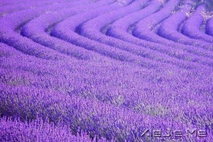 Ҫ��������룬��Ϊ�Լ����� (9)