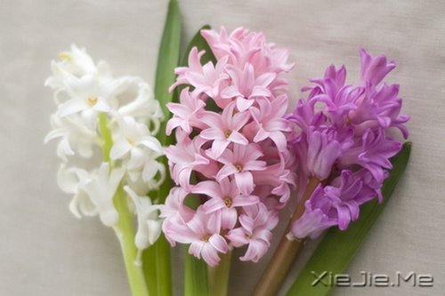 �������������Լ�һ��΢Ц (4)