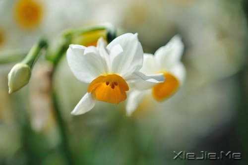 ������û��������Ȼ��ֻ���ĸ���Ը (2)