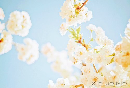 ���ܳɹ���������������� (8)