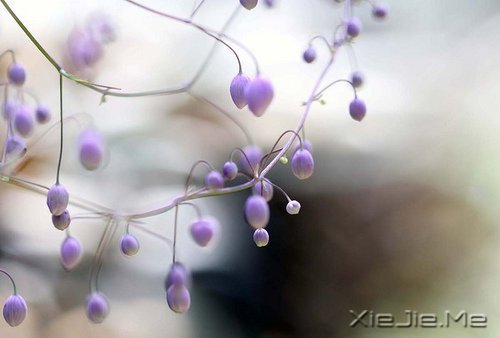 ֻҪ���Ĳ��ң����ͺ��Ѹı���ʲô (9)