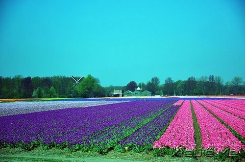 �ڴ�һ������ľ��룬�����������õļ��� (9)