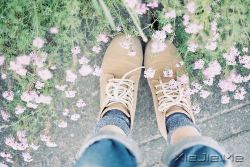 �ѹ�ʱ��һ���ǣ������Լ���������� (5)