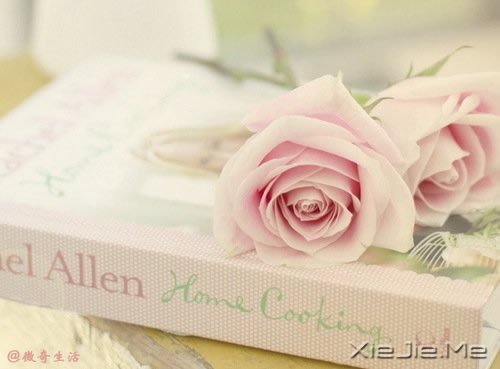 ����Ϊ˭л����лΪ˭�� (5)