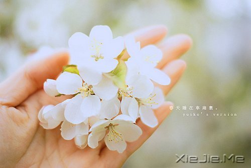 ��ν�Ҹ�������һЩ��֪������СƬ�� (1)