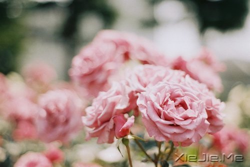 �Ҹ������Ǵ����ﶬ����Ȼ���� (2)