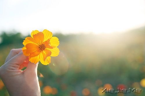 ��ֻ�ж���������֮�أ����ܿ���ʱ��֮�� (3)