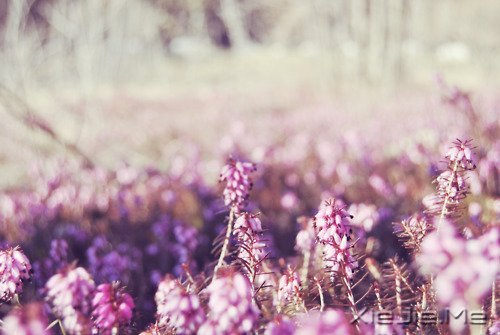 �簲����໰�Ȼ��Ըɾ�һǧ�� (12)