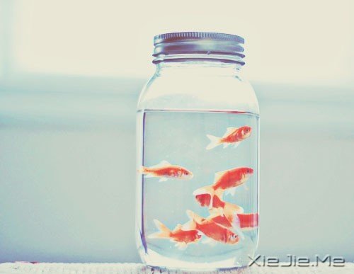 ���������һ��ˮ��ƽ������Բ������������� (3)