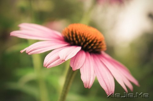 �簲������Լ����������ǣ������Ǳ��������еĿ��� (10)