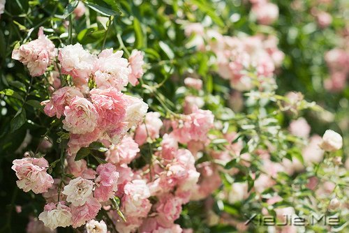 �簲����߽����·�������µ����� (8)