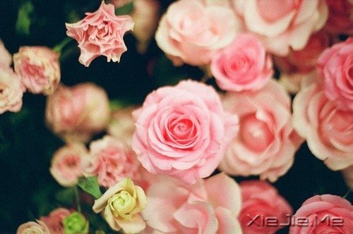 �簲�����ʰ���飬������· (4)