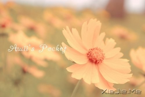 �簲�����ʰ���飬������· (7)