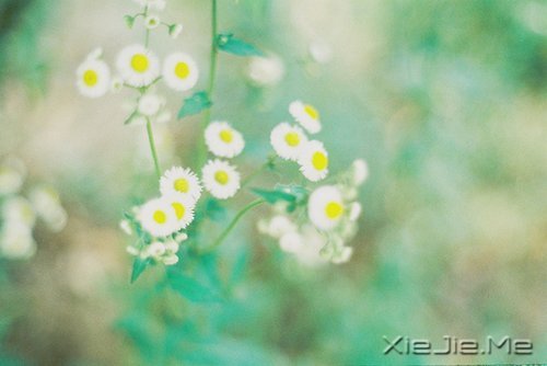 ������ᣬȴ���ӵ�з������������ (8)