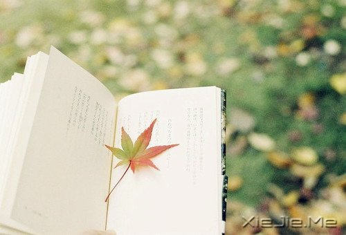 ��ʱ��Ķɿڣ����ǽ��ǹ��� (7)