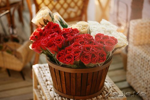 ��������������ˣ��������� (5)