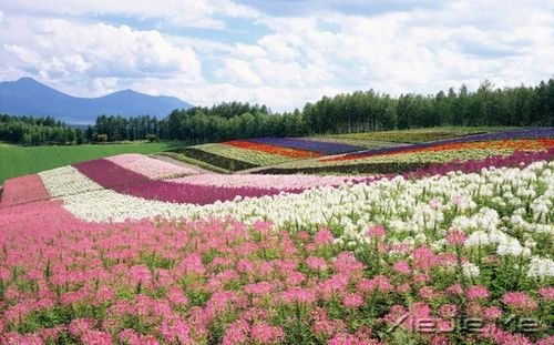 �簲���������������һ���˵����� (3)