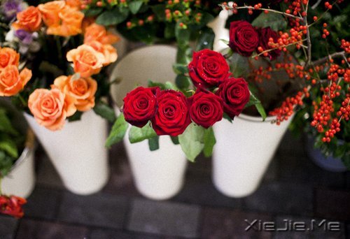 ����������ı���Ⱦ���ľ���Ȼ�� (2)