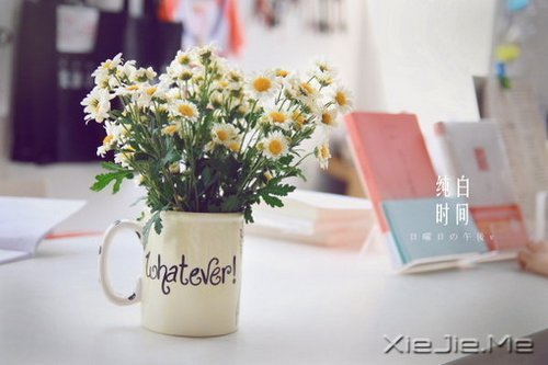 ��δ���������������ǰ�һ���׸����� (9)