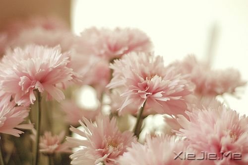 �簲����̲���ʹ�࣬�ͼ������Ҹ� (3)