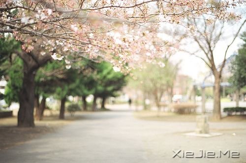 �����������Щ˲�䣬����ů�������� (2)