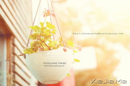 ��������˲������ں�ҹ���������û������ (4)