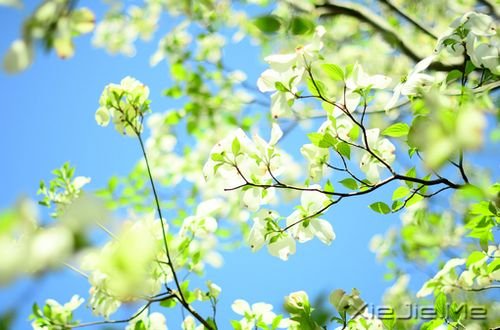 �������ֻҪ�������ڣ��ݳ���û����Ļ (9)