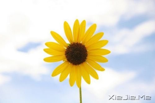 �������������Ҳ������������� (4)