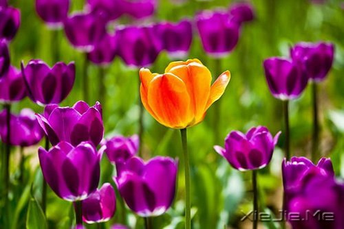 �簲�������������ߣ�Ҳ����һ�����������ͽ (4)