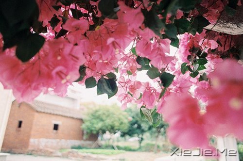 �簲�����Щ���ԣ����������㲻�̽Ҵ� (3)