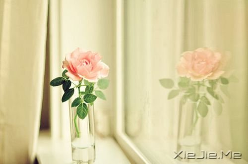 �簲����Ҹ��������õĽ����������ļ��� (8)