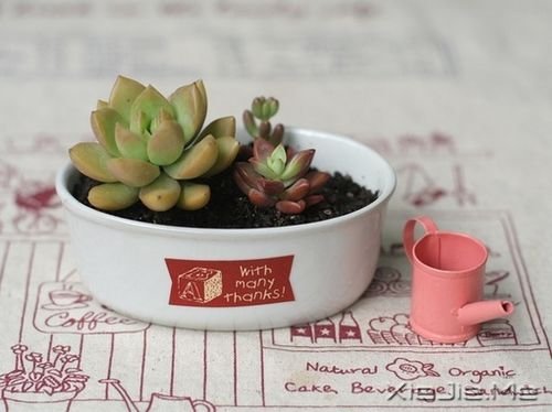 �簲����¸�˵������뷨��������������� (4)