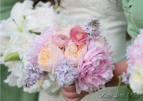 �簲�����ʱ��һ��ǳǳ�Ļ��� (7)