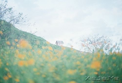 �������һ����ʱ���ƴ��Լ���������ʱ���ƴ��Է� (10)