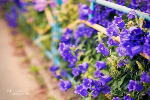 �簲��������ܻ������һ�����ᣬ������������ (8)