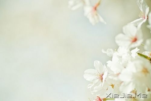 �簲���������ҵ��ģ�������ס������ (5)