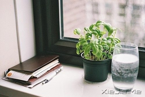 �����������Լ�������Ҫ��ǿ (7)