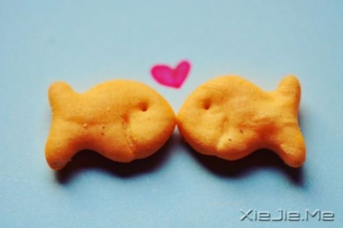 ���������Ĭ��ֻ������ľ��� (2)