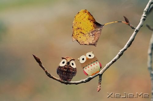 �������ÿһ��������������ӣ����Ƕ������Ĺ��� (4)