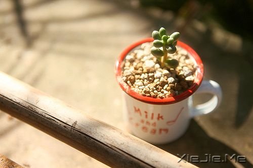 �簲�����Ҫ������ˣ�Ҳ��Ҫ��Թ�Լ� (8)