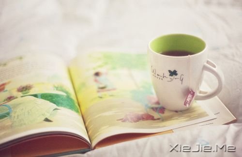 ��������ˣ���������һ��ӵ�� (8)