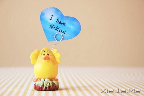 Ӣ������Ұ��㣬��������һ������ (7)